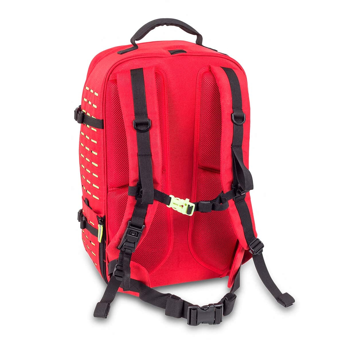 ROBUST — EB02.040