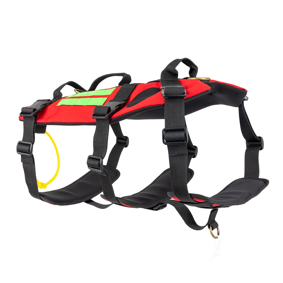 RESCUE’S DOG — EB03.003