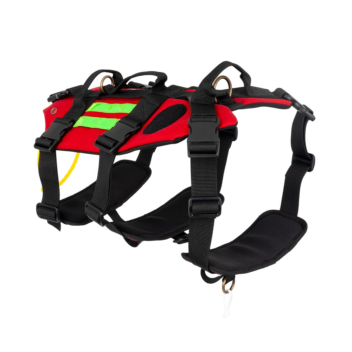 RESCUE’S DOG — EB03.003