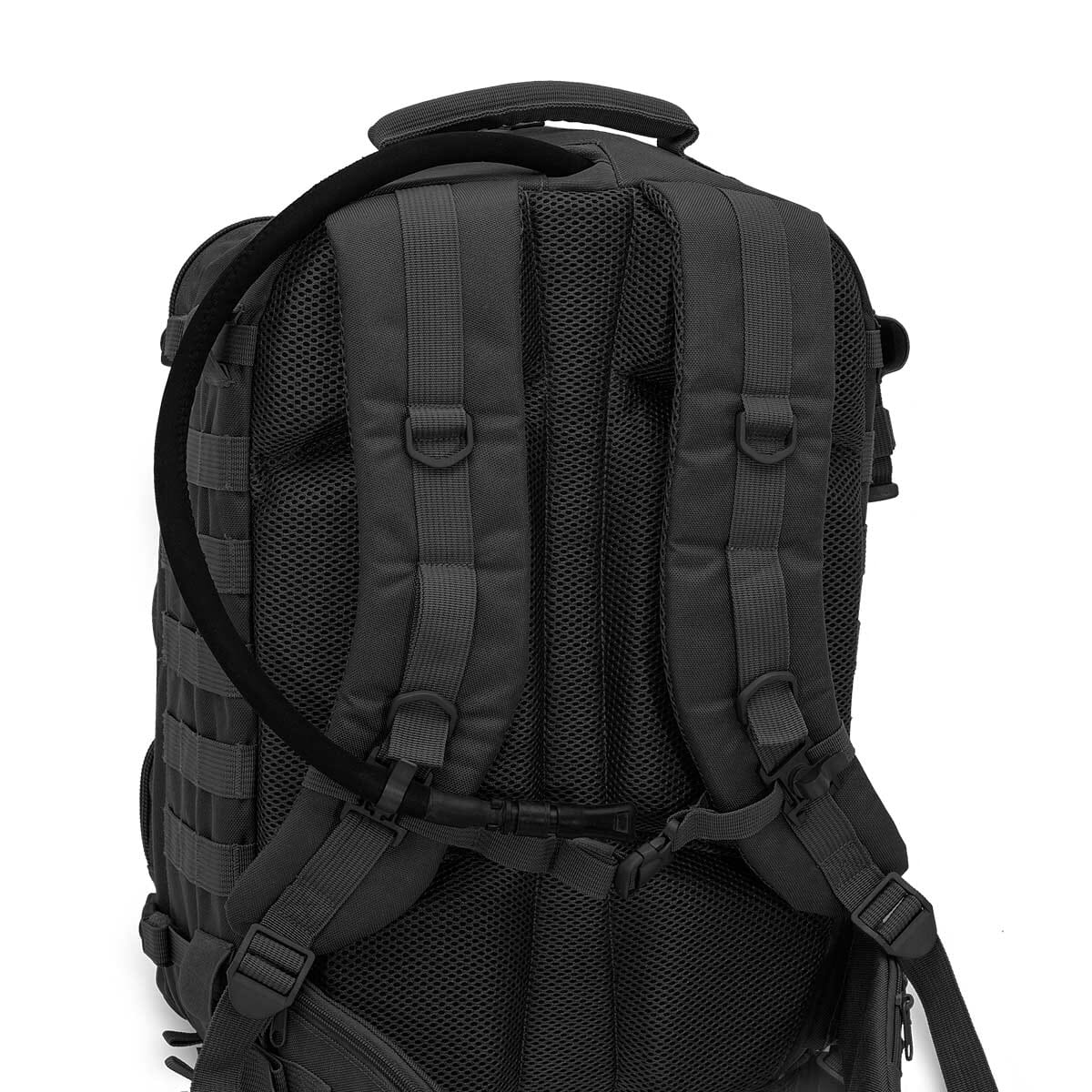 PARAMED’S — MB11.001
