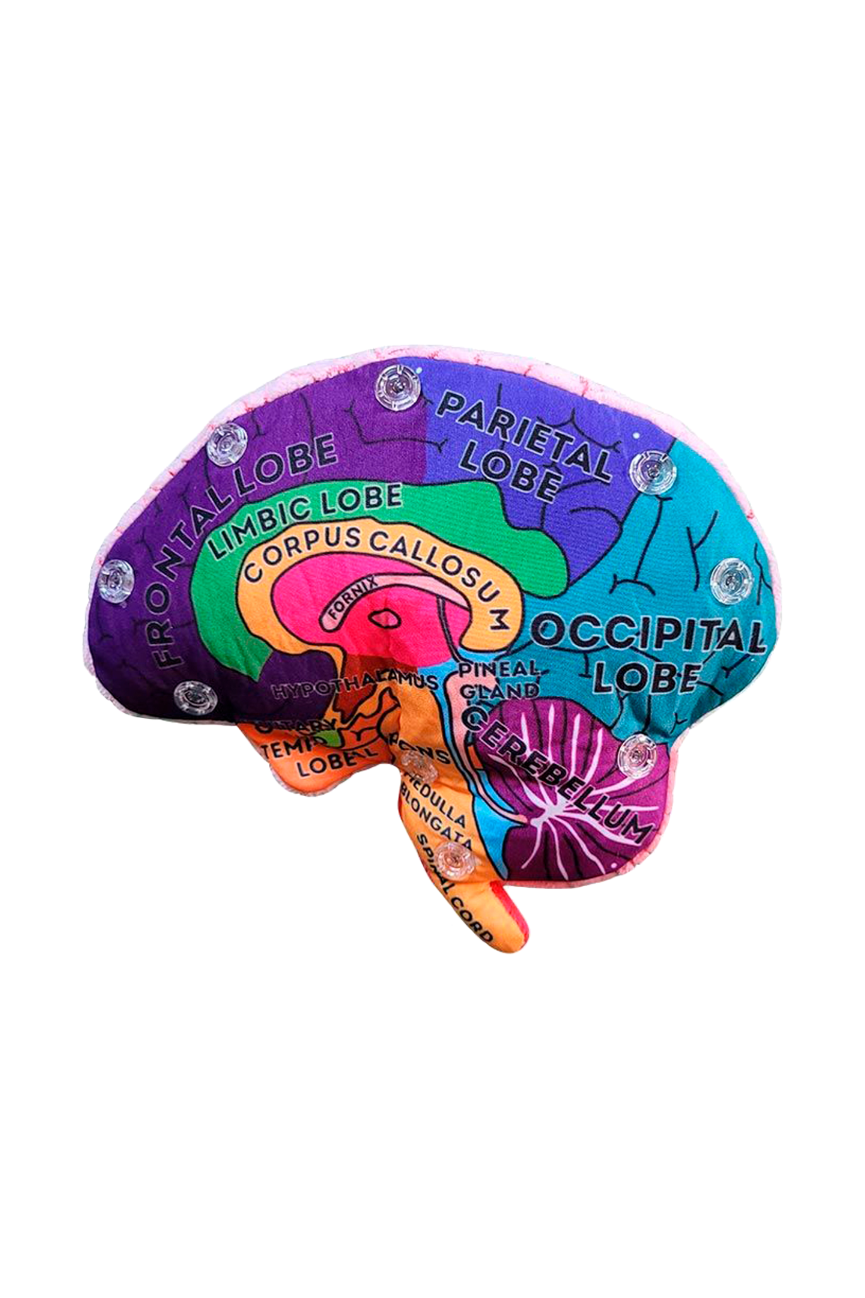 Peluche Cerebro Educativo GIANTmicrobes
